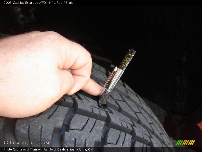 Infra Red / Shale 2003 Cadillac Escalade AWD