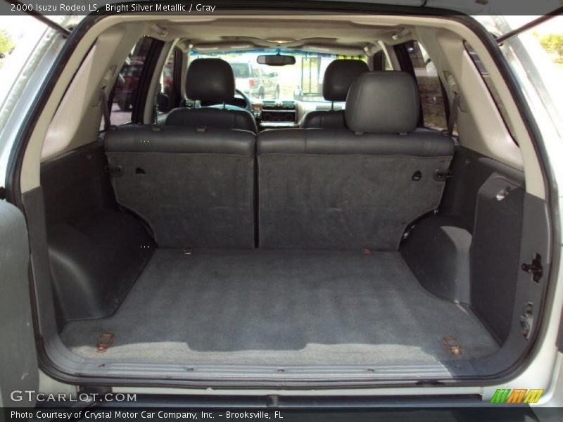Bright Silver Metallic / Gray 2000 Isuzu Rodeo LS
