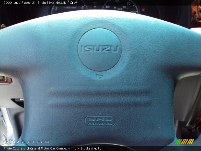 Bright Silver Metallic / Gray 2000 Isuzu Rodeo LS