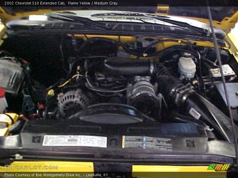 Flame Yellow / Medium Gray 2002 Chevrolet S10 Extended Cab