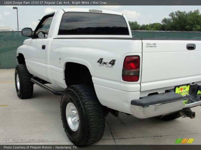 Bright White / Mist Gray 1999 Dodge Ram 1500 ST Regular Cab 4x4