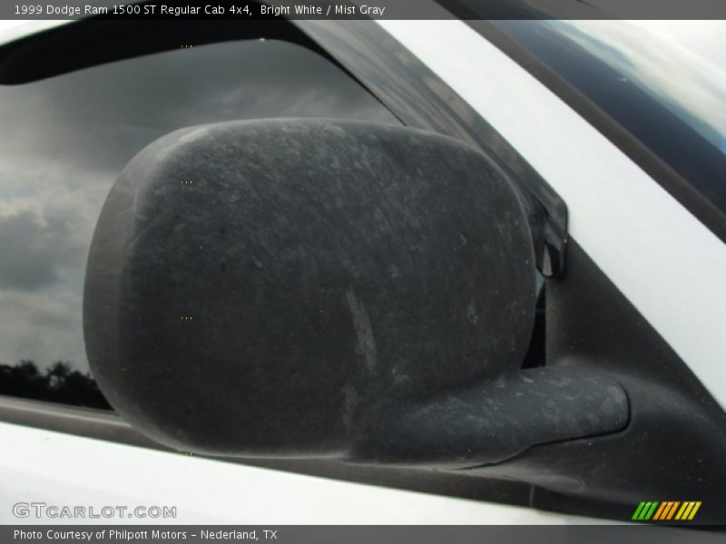 Bright White / Mist Gray 1999 Dodge Ram 1500 ST Regular Cab 4x4