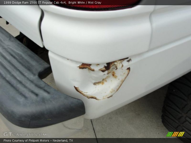 Bright White / Mist Gray 1999 Dodge Ram 1500 ST Regular Cab 4x4