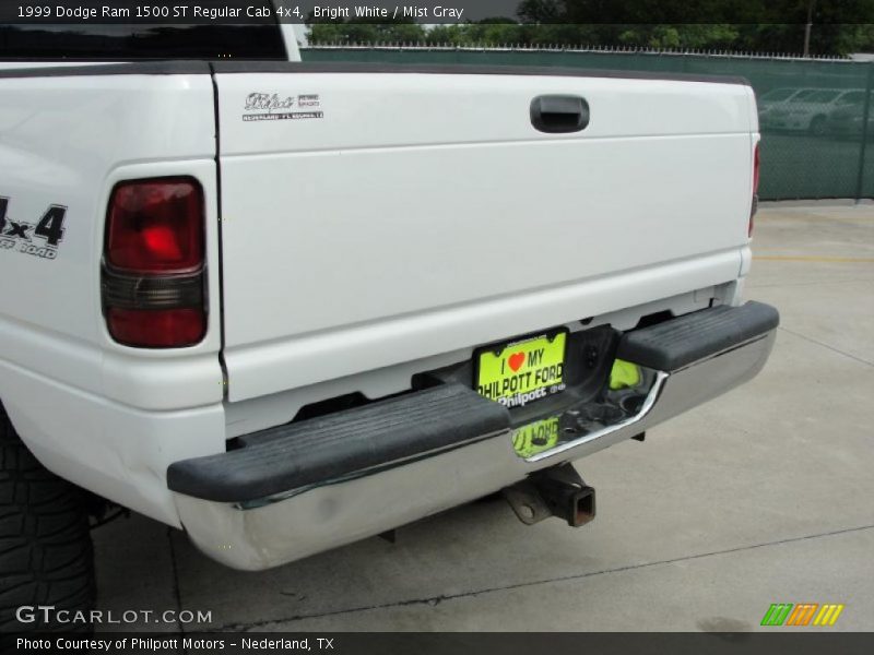 Bright White / Mist Gray 1999 Dodge Ram 1500 ST Regular Cab 4x4