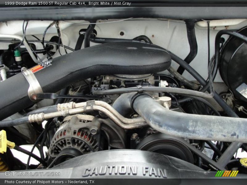Bright White / Mist Gray 1999 Dodge Ram 1500 ST Regular Cab 4x4