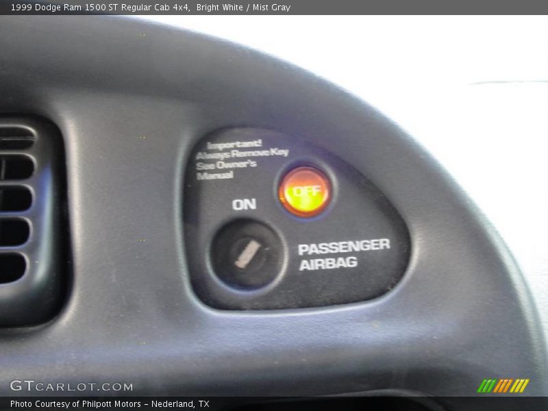 Bright White / Mist Gray 1999 Dodge Ram 1500 ST Regular Cab 4x4