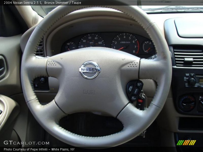 Bronze Shimmer / Taupe 2004 Nissan Sentra 2.5 S