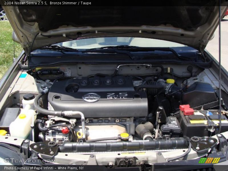 Bronze Shimmer / Taupe 2004 Nissan Sentra 2.5 S