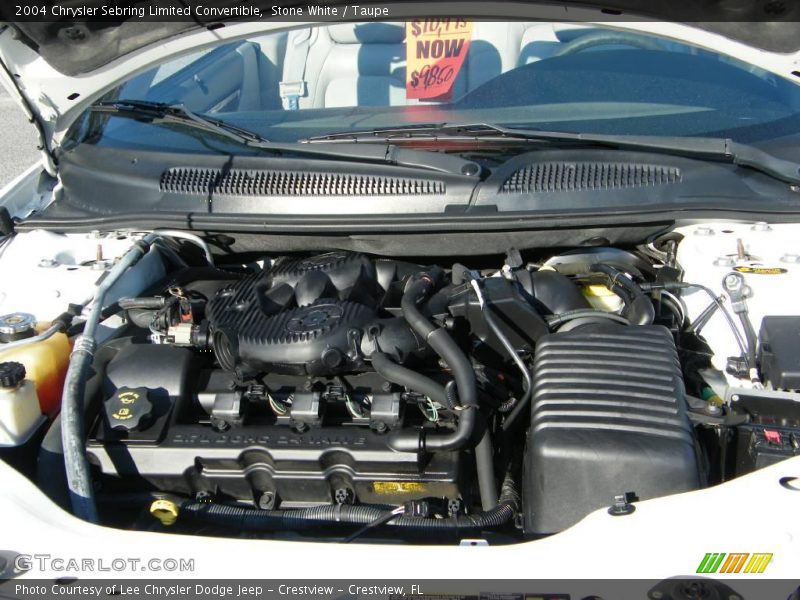 Stone White / Taupe 2004 Chrysler Sebring Limited Convertible