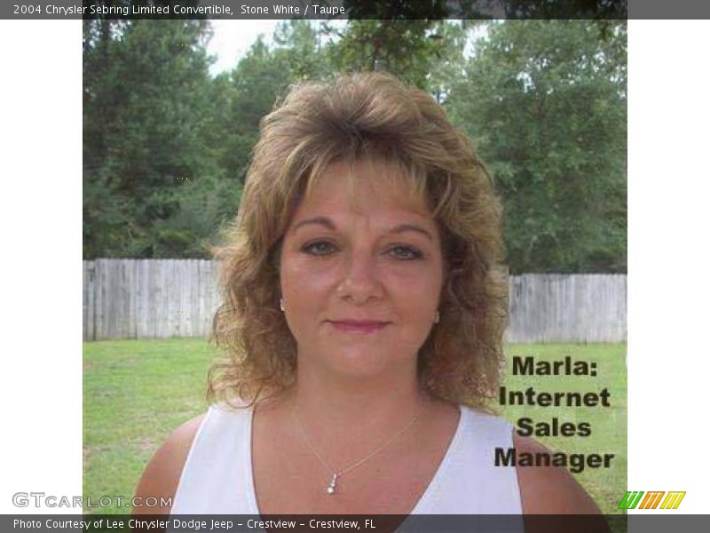 Stone White / Taupe 2004 Chrysler Sebring Limited Convertible