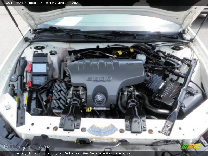White / Medium Gray 2004 Chevrolet Impala LS