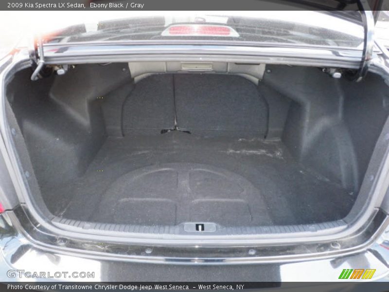 Ebony Black / Gray 2009 Kia Spectra LX Sedan