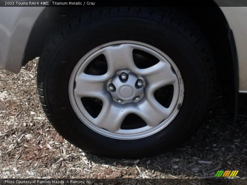 Titanium Metallic / Gray 2003 Toyota RAV4 4WD