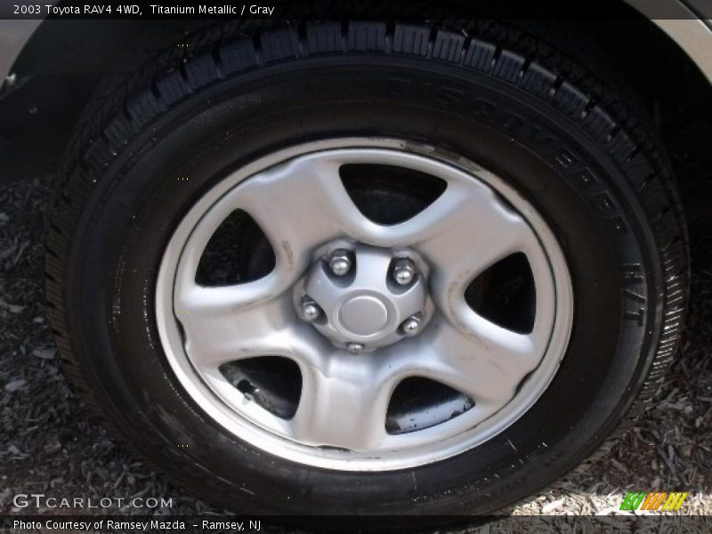 Titanium Metallic / Gray 2003 Toyota RAV4 4WD