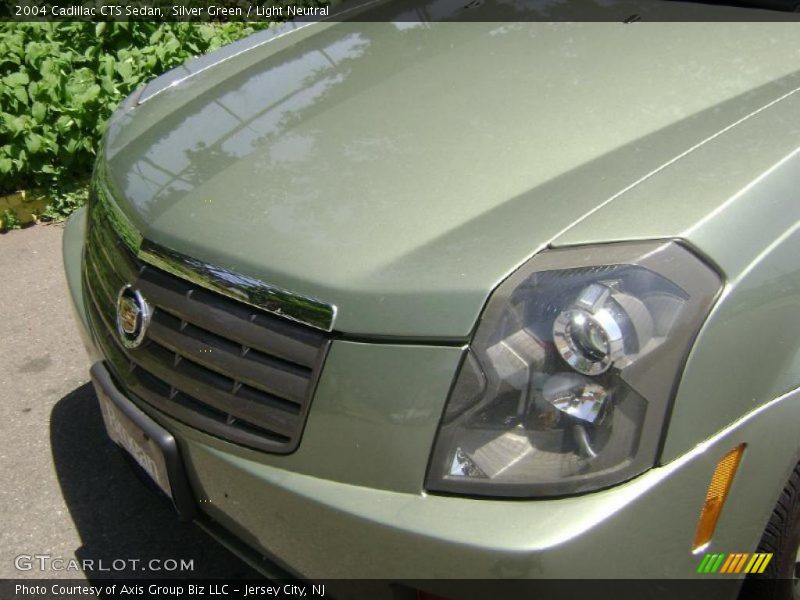 Silver Green / Light Neutral 2004 Cadillac CTS Sedan