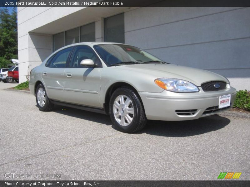 Gold Ash Metallic / Medium/Dark Pebble 2005 Ford Taurus SEL