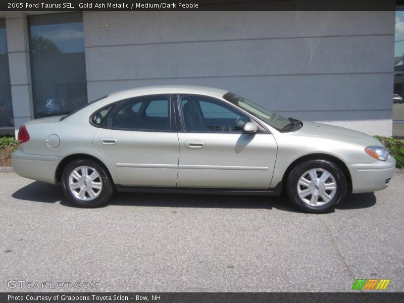 Gold Ash Metallic / Medium/Dark Pebble 2005 Ford Taurus SEL