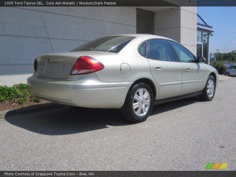 Gold Ash Metallic / Medium/Dark Pebble 2005 Ford Taurus SEL