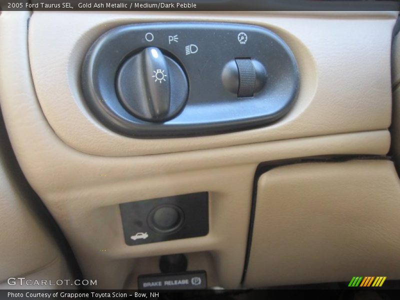 Gold Ash Metallic / Medium/Dark Pebble 2005 Ford Taurus SEL