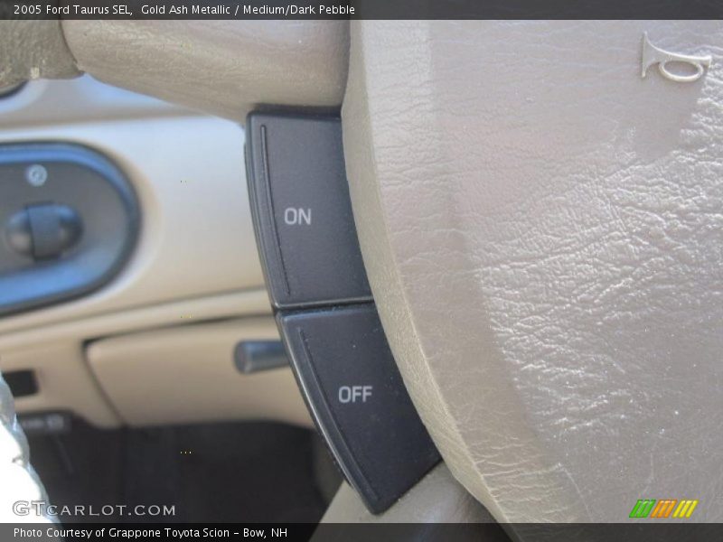 Gold Ash Metallic / Medium/Dark Pebble 2005 Ford Taurus SEL