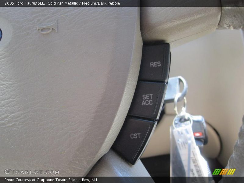 Gold Ash Metallic / Medium/Dark Pebble 2005 Ford Taurus SEL
