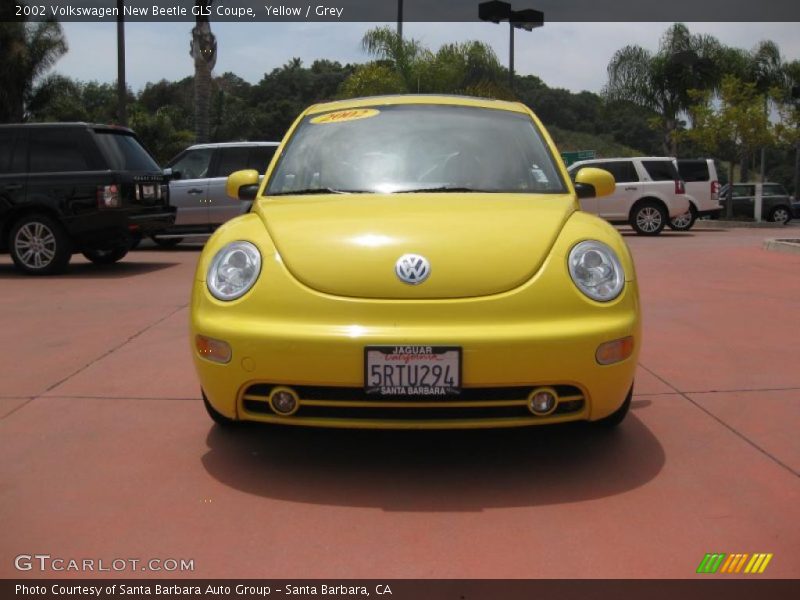 Yellow / Grey 2002 Volkswagen New Beetle GLS Coupe
