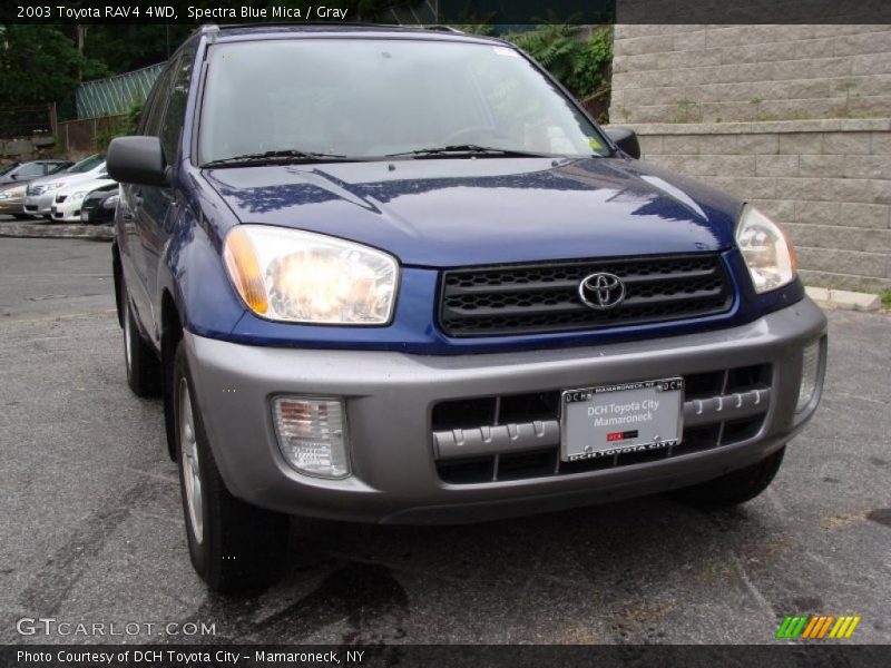 Spectra Blue Mica / Gray 2003 Toyota RAV4 4WD