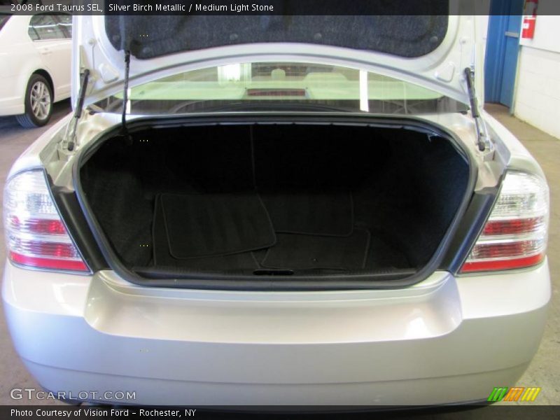 Silver Birch Metallic / Medium Light Stone 2008 Ford Taurus SEL