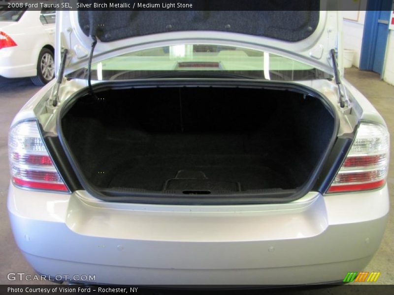 Silver Birch Metallic / Medium Light Stone 2008 Ford Taurus SEL