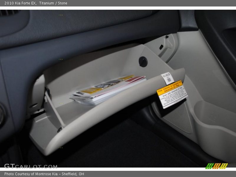 Titanium / Stone 2010 Kia Forte EX