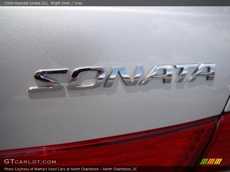 Bright Silver / Gray 2009 Hyundai Sonata GLS