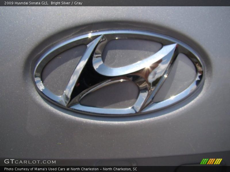 Bright Silver / Gray 2009 Hyundai Sonata GLS