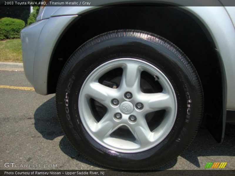Titanium Metallic / Gray 2003 Toyota RAV4 4WD
