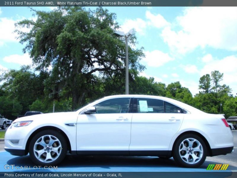 White Platinum Tri-Coat / Charcoal Black/Umber Brown 2011 Ford Taurus SHO AWD