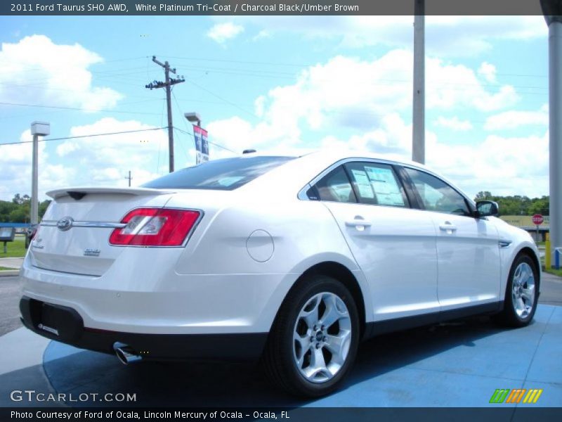 White Platinum Tri-Coat / Charcoal Black/Umber Brown 2011 Ford Taurus SHO AWD