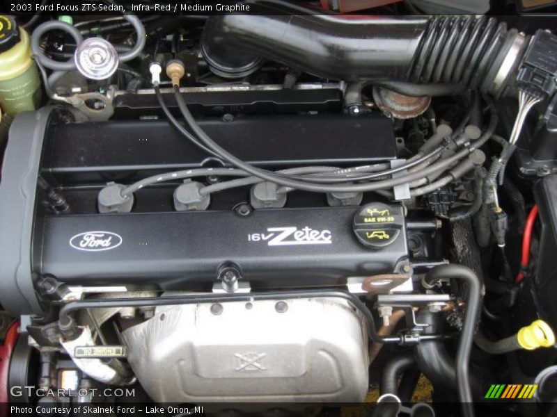 Infra-Red / Medium Graphite 2003 Ford Focus ZTS Sedan