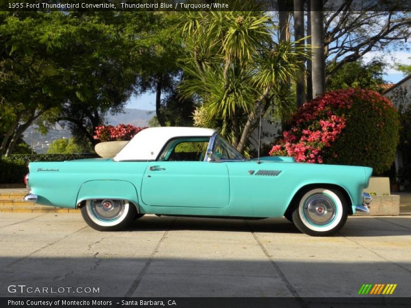 Thunderbird Blue / Turquoise/White 1955 Ford Thunderbird Convertible