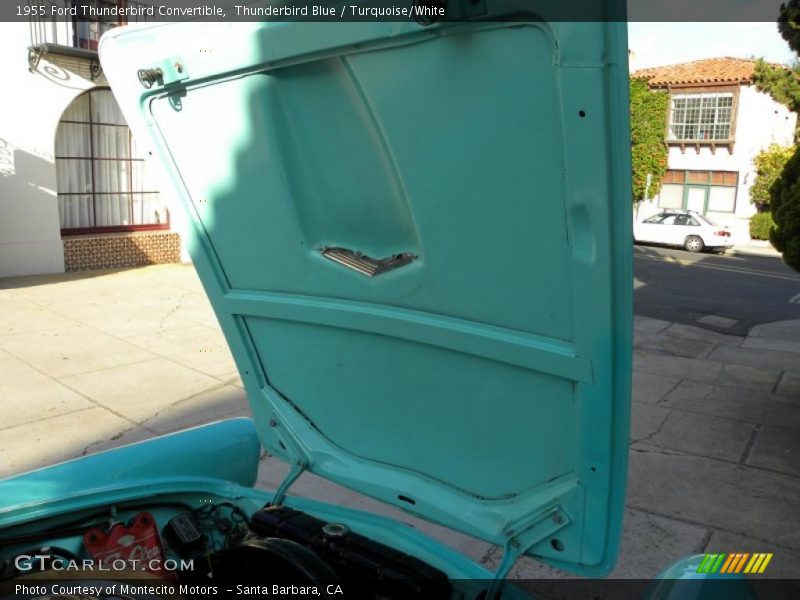 Thunderbird Blue / Turquoise/White 1955 Ford Thunderbird Convertible