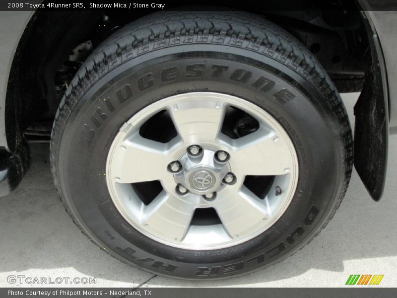 Shadow Mica / Stone Gray 2008 Toyota 4Runner SR5