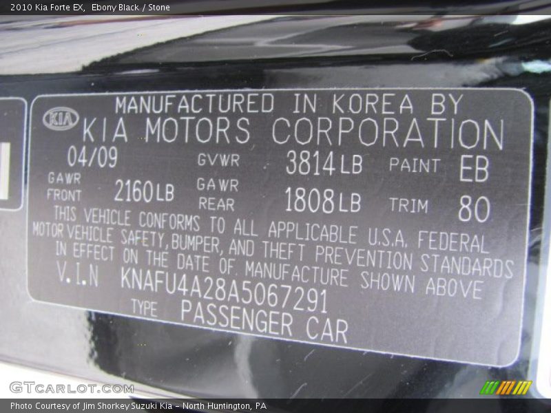 Ebony Black / Stone 2010 Kia Forte EX