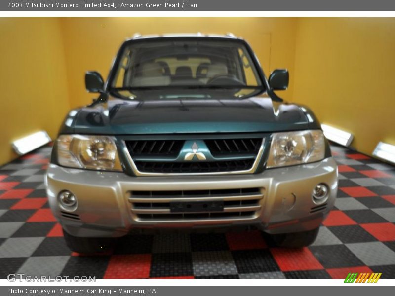 Amazon Green Pearl / Tan 2003 Mitsubishi Montero Limited 4x4