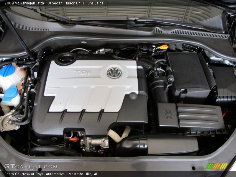 Black Uni / Pure Beige 2009 Volkswagen Jetta TDI Sedan