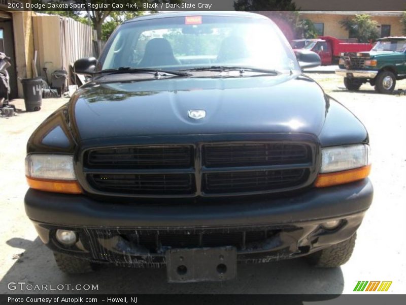 Black / Dark Slate Gray 2001 Dodge Dakota Sport Regular Cab 4x4