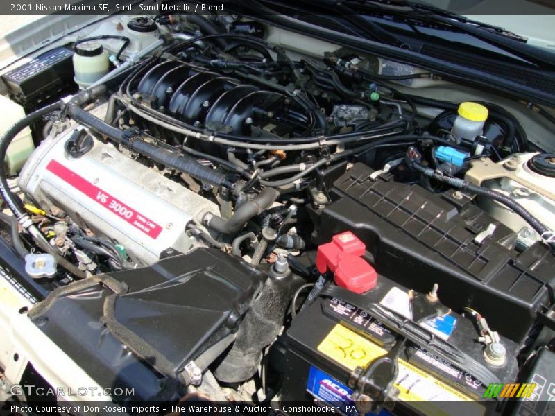 Sunlit Sand Metallic / Blond 2001 Nissan Maxima SE