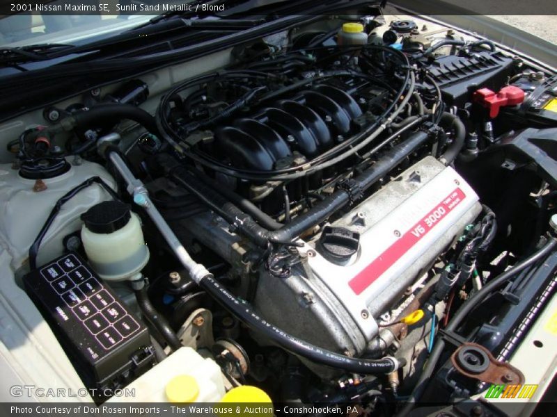 Sunlit Sand Metallic / Blond 2001 Nissan Maxima SE