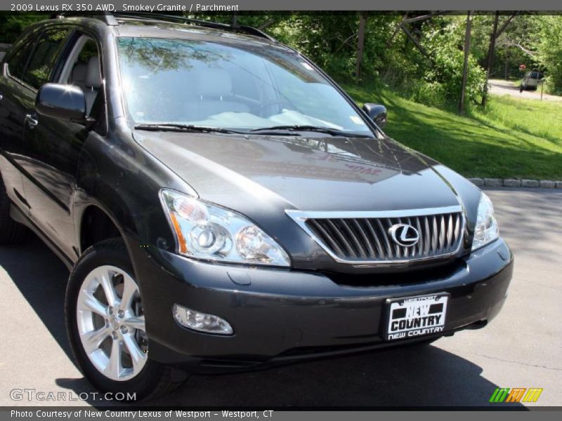 Smokey Granite / Parchment 2009 Lexus RX 350 AWD