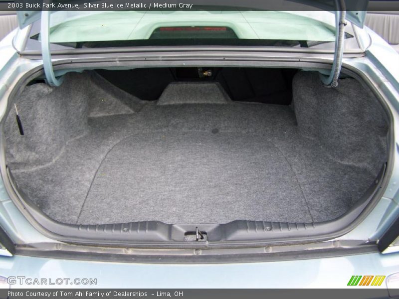 Silver Blue Ice Metallic / Medium Gray 2003 Buick Park Avenue