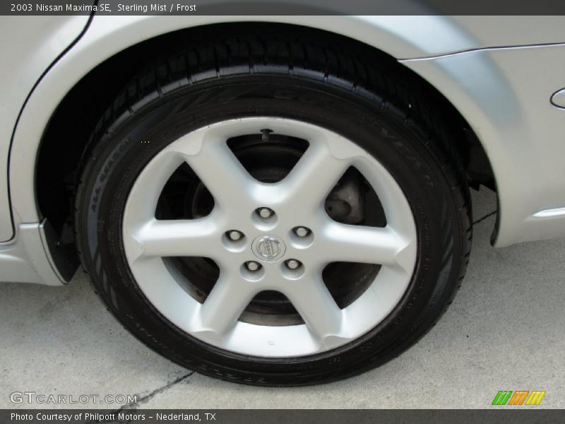 Sterling Mist / Frost 2003 Nissan Maxima SE