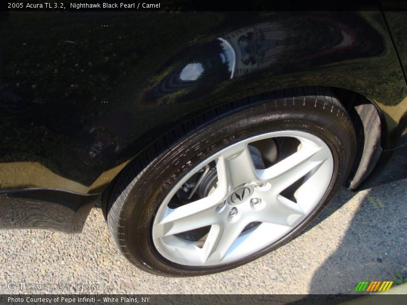 Nighthawk Black Pearl / Camel 2005 Acura TL 3.2
