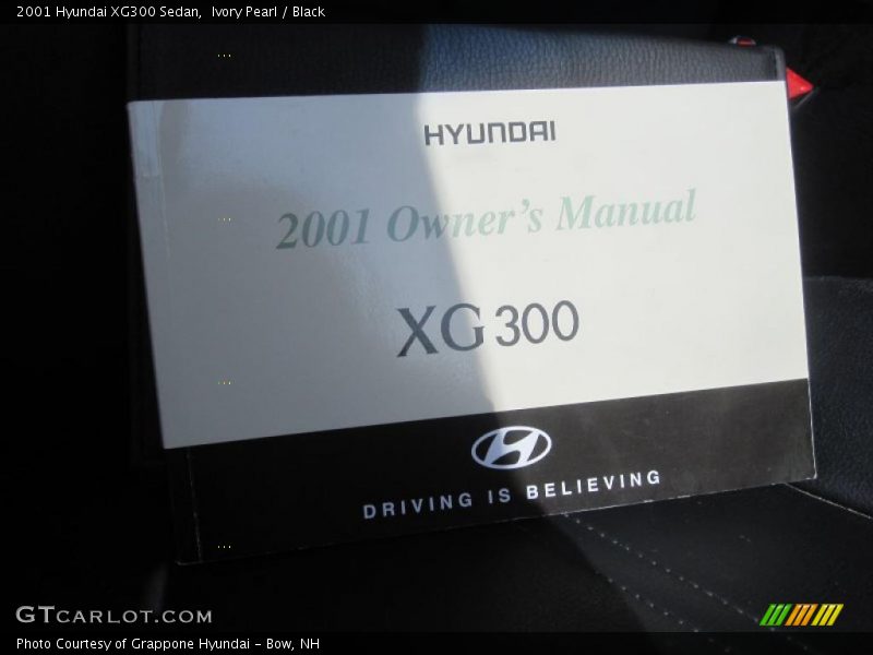 Ivory Pearl / Black 2001 Hyundai XG300 Sedan